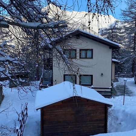 Green Mountain Lodge Oulx Esterno foto